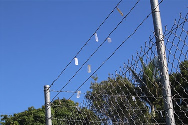 Barbed wire fence with tags