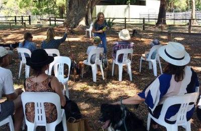 Dog owners find out how to keep their dogs under control and safe when encountering koalas and other wildlife around biodiverse Byron Shire.
