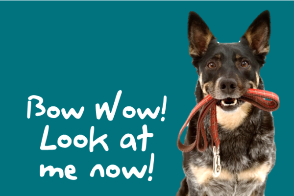 Image of an obedient dog with a leash in its mouth. The tag line Bow Wow! Look at me now! is written beside the dog.