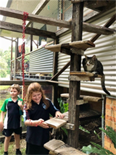 Image of two children of primary school age in a cat enclosure with their grey and white cat on a timber step.