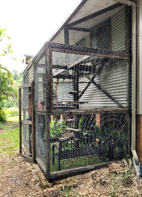 Image of large catio enclosure with timber frames and mesh walls, attached to a house with cat entry via window, and background of tropical landscape.