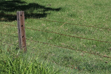 Barbed wire with a smooth top wire