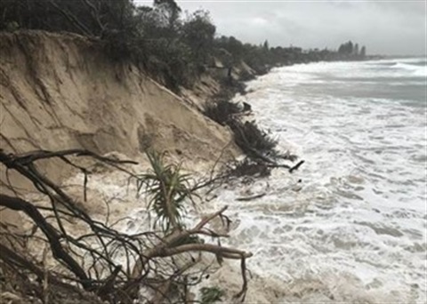 Photo of high sand dunes at high tide with trees fallen down into the waters edge.