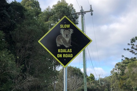 Koala wildlife road sign.jpg
