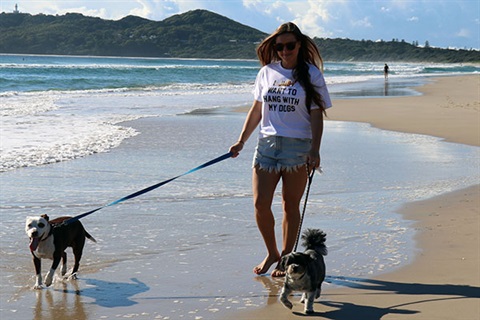 Woman walking two dogs on beach