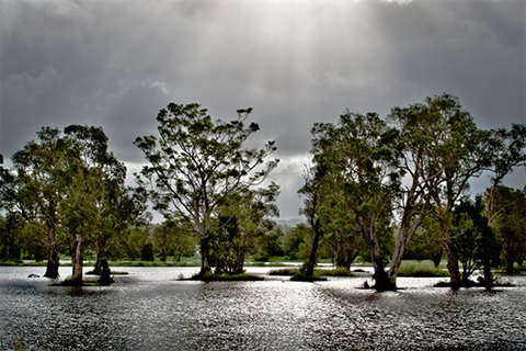 Flood-Image-Arnaya-Byron-Photo-Comp