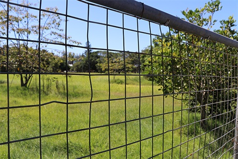Picture of Butler Street Reserve through a fence