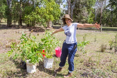 Woman with a tray of native saplings.