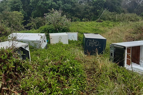 Rubbish dumped in bush 