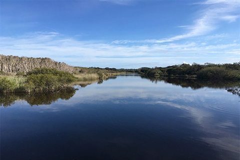 Tallow-creek-image-of-creek-and-vegetation-for-web