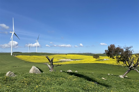 Wind-turbines-for-web-600x400px.jpg