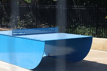 Byron Skate Park table tennis table