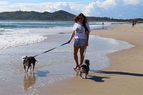 Woman walking two dogs on leash at the beach