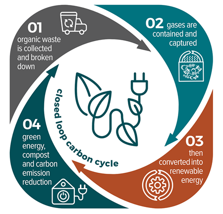 A graphic stepping out the bio energy process. Alternative description is available on the web page. 
