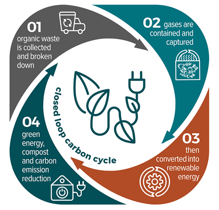 A graphic stepping out the bio energy process. Alternative description is available on the web page.