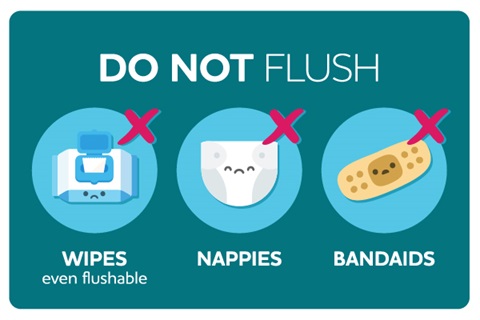 Do-not-flush-600x400-pixels-2.jpg