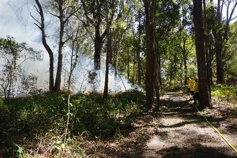 photo of australian bushland with smoke from burn off and fire containment line and personnel