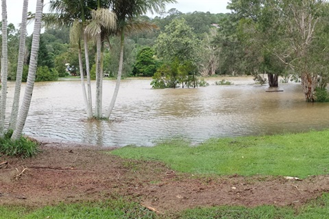 Flood water in the Byron Shire 2017 flood.jpg