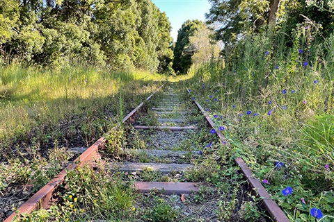 Bangalow rail line for web.jpg