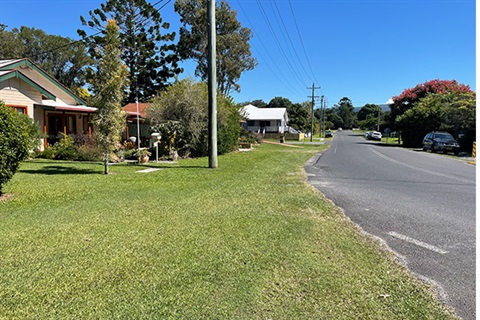 grassy wide footpath on with houses on left 