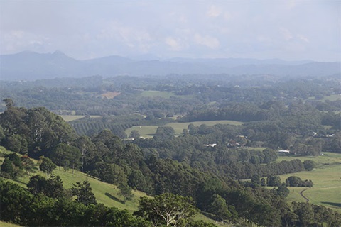 Image-of-land-in-Byron-Shire