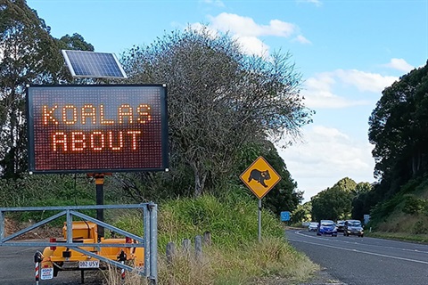 Electronic message board on side of road saying koalas about