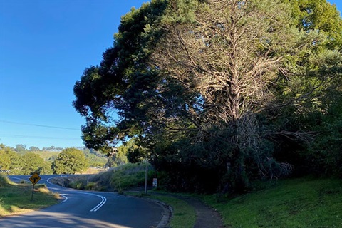 Winding road with intersection in background