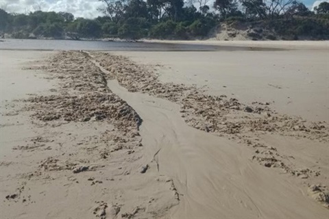 trench in sand approx half a metre wide leading to still water marking the mouth of a creek 