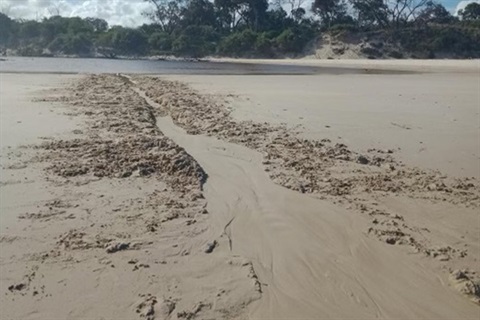 trench in sand approx half a metre wide leading to still water marking the mouth of a creek