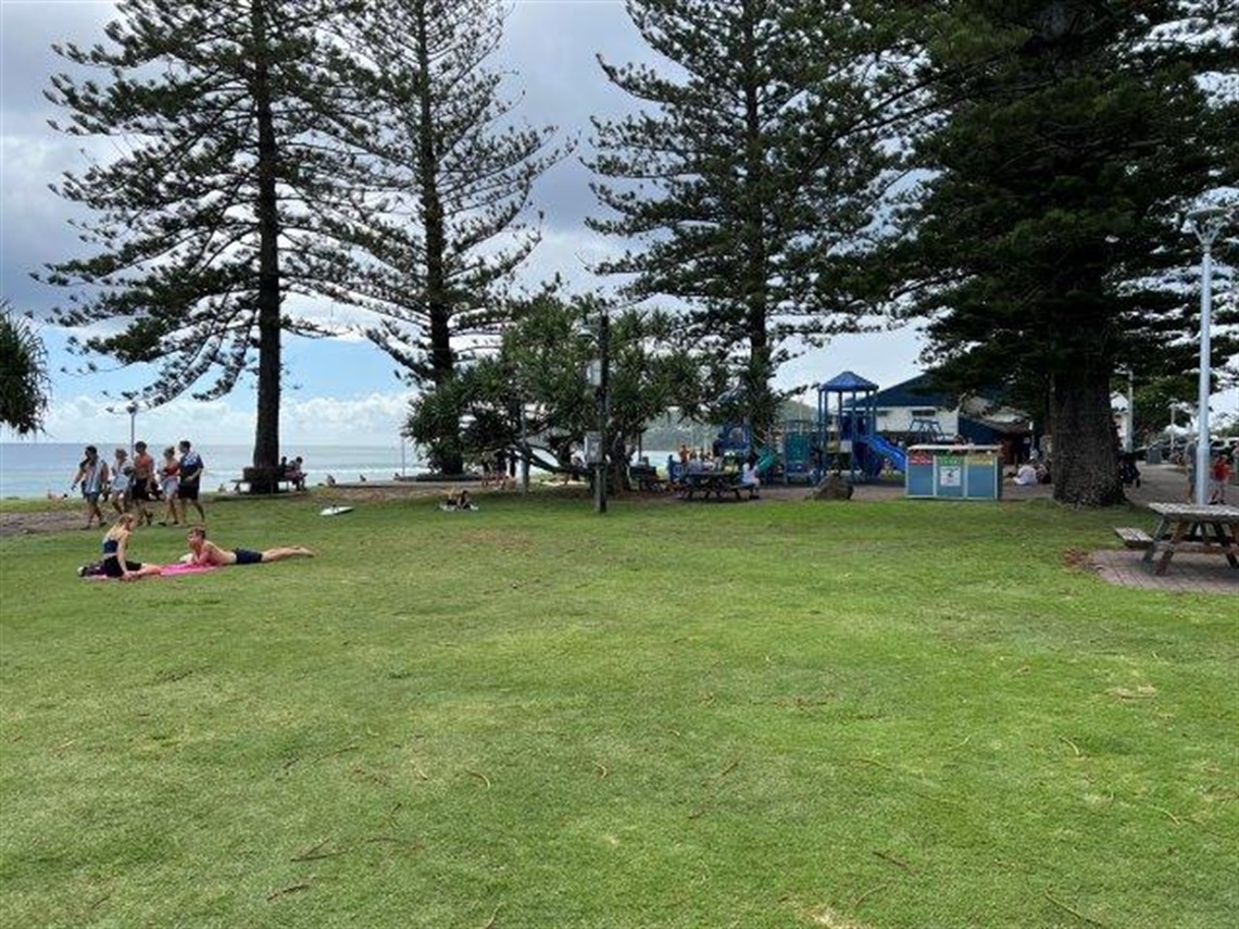 A view of the green grassed seating area at Apex Park Byron Bay  looking btwowards Norfolk pines with the ocean in the background.