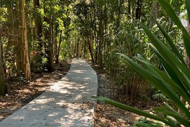 Heritage Park accessible pathway through the arboretum