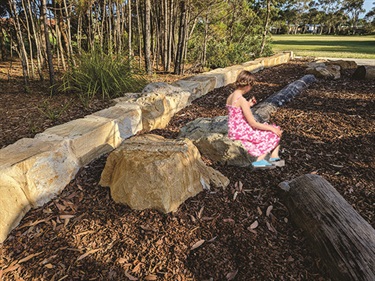 Rocks for stepping and jumping