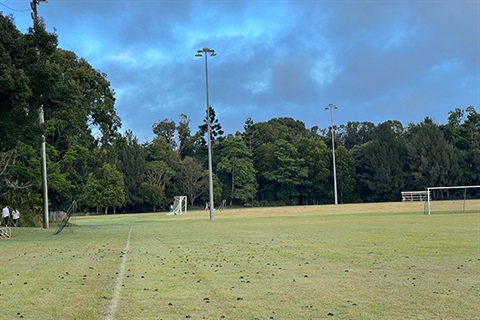 grass sports field with boundary line on left and light poles in background