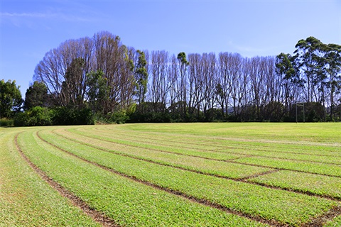 Mullum-Sports-Field