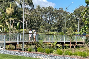 Byron Bay Rail Corridor shady grassy areas and landscaped native gardens