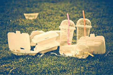 Discarded takeaway containers on green grass 600x400.jpg