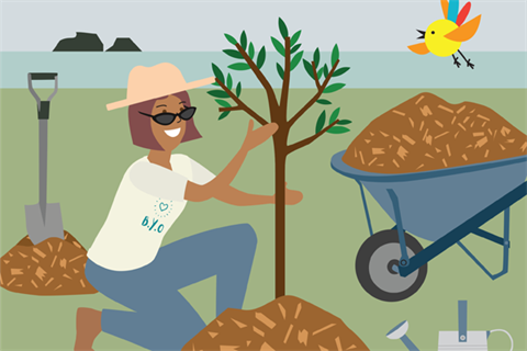 Illustration of a person putting mulch around a newly planted tree. 